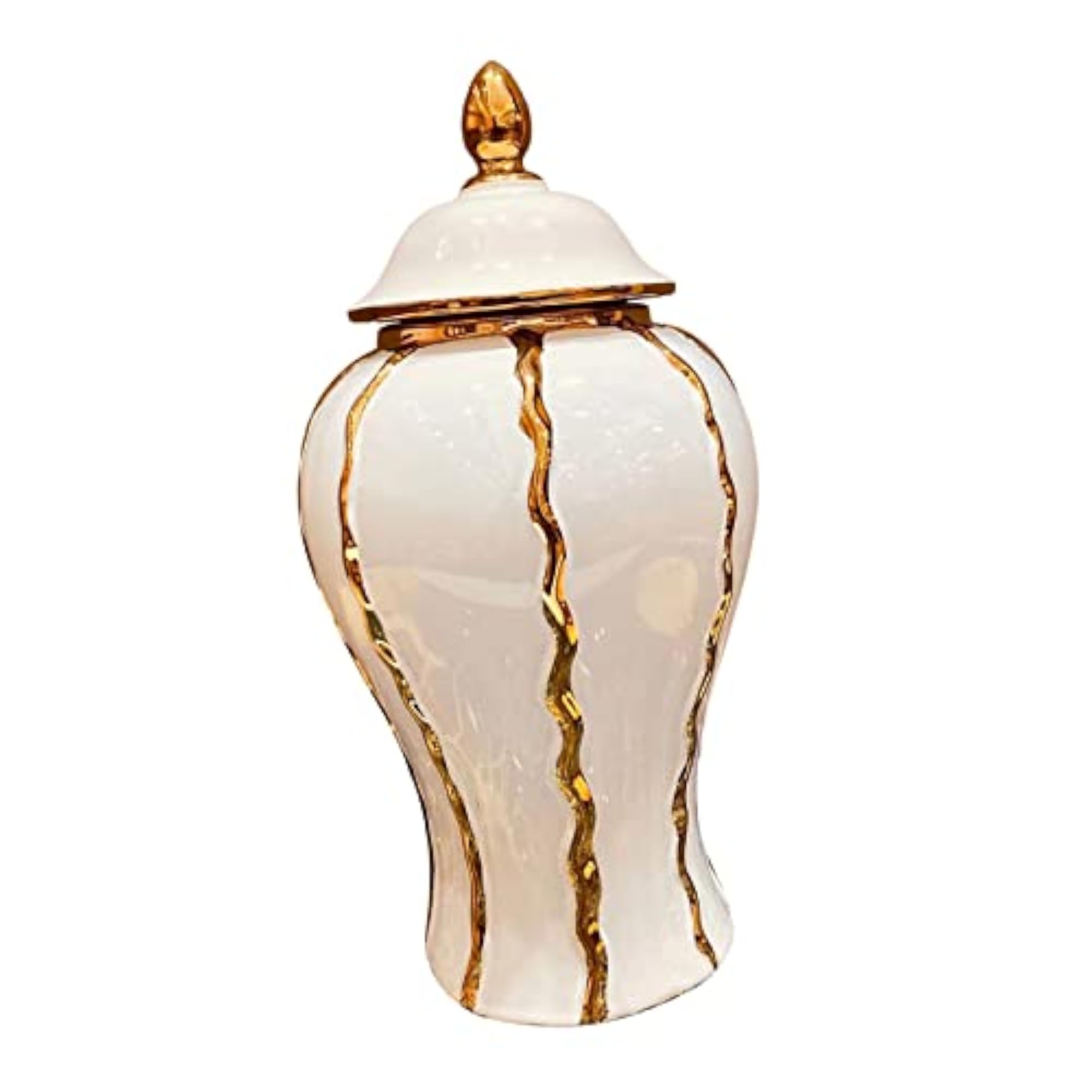 Porcelain Ginger Jar Storage Plants Holder